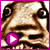 QuickTime - 512.8 ko