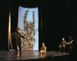 2010 - Live sand drawing (animals) for the play "Cet animal qui nous (...)